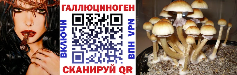 Псилоцибиновые грибы мицелий Спасск-Рязанский